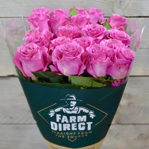 Rosa grootbloemig overig