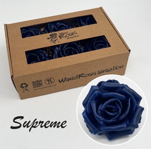 Rosa grootbloemig gewaxt H%