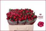 26959181-a971-4d2f-bd77-e05bd81173c9.jpg