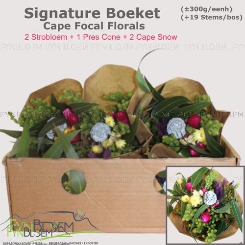 Kaaps groen gemengd in bos