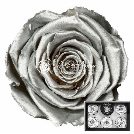 Rosa grootbloemig kleurbehandeld H%