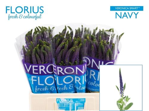 Veronica Smart Navy