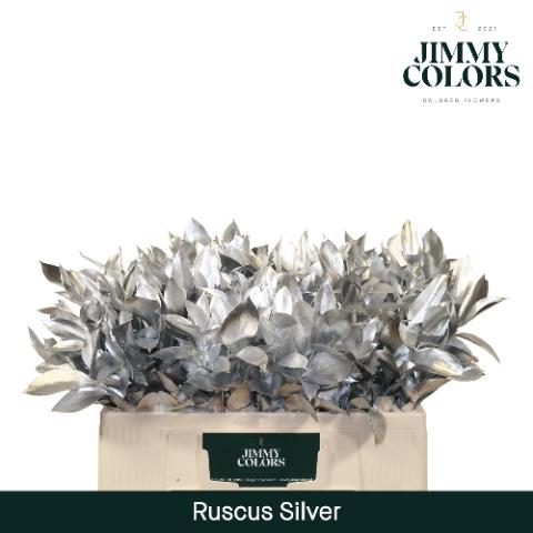 Ruscus kleurbehandeld H%