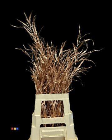 Decoratiegroen kleurbehandeld per bos H%