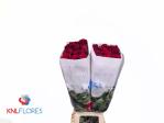 294b7959-5098-43c1-b35e-ada95aaa9054.jpg