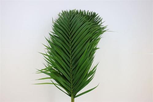 Palmblad