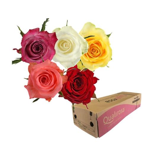 Rosa grootbloemig gemengd in bos