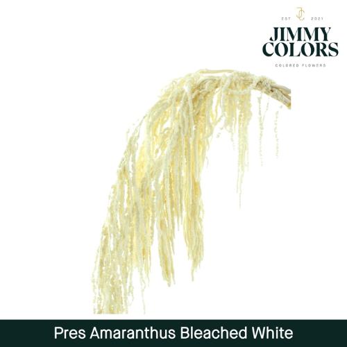 Snijbloemen overig kleurbehandeld H%