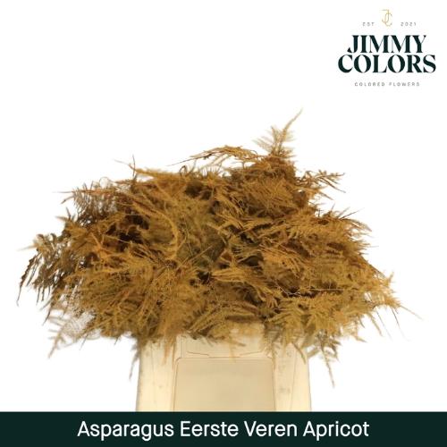 Asparagus overig kleurbehandeld H%