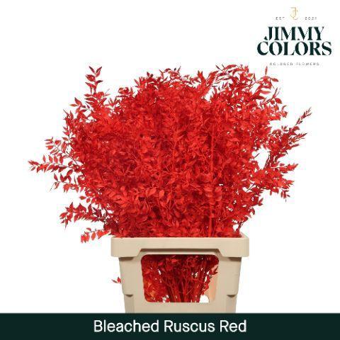 Snijbloemen overig kleurbehandeld H%