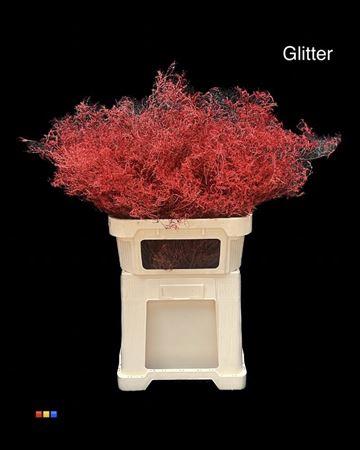 Limonium overig kleurbehandeld H%