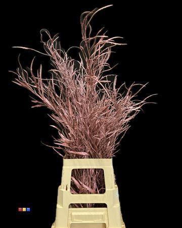 Decoratiegroen kleurbehandeld per bos H%