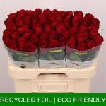 2adf2ebd-1624-4a20-b450-bf770d12bc04.jpg