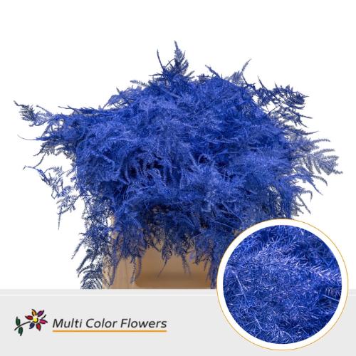 Asparagus overig kleurbehandeld H%