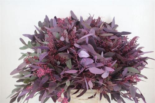 Eucalyptus kleurbehandeld per bos H%