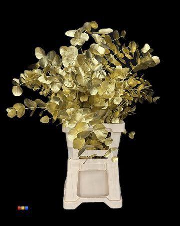 Eucalyptus cinerea kleurbehandeld per bos H%