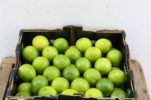 Siervruchten per bak overig