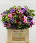 2bbafe3e-f617-4d45-ae25-10aaa916ea11.jpg
