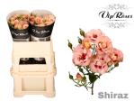 2be3d0ef-5a82-4d29-9f22-ea16a0808449.jpg