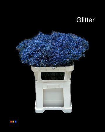 Gypsophila overig kleurbehandeld H%