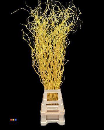 Salix kleurbehandeld H%