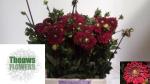 2dba43f6-1cc1-4907-a20b-24635c3dbb56.jpg