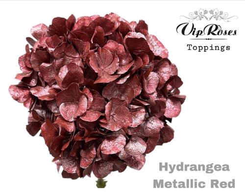Hydrangea overig kleurbehandeld H%