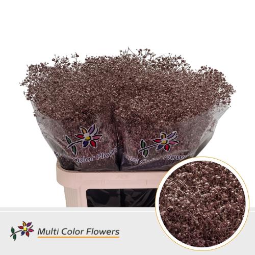 Gypsophila overig kleurbehandeld H%