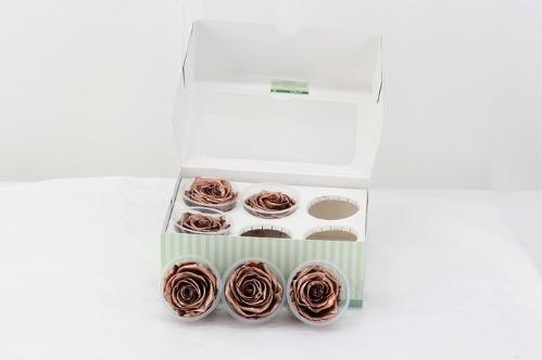 Rosa grootbloemig kleurbehandeld H%