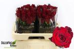 2f3cf163-a274-4feb-b8db-798f8be9759a.jpg