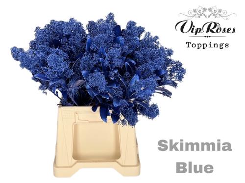 Skimmia per bos overig kleurbehandeld H%