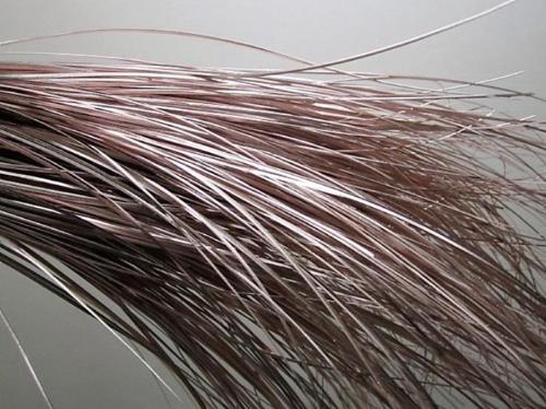 Xerophyllum tenax Beargrass kleurbehandeld per bos H%