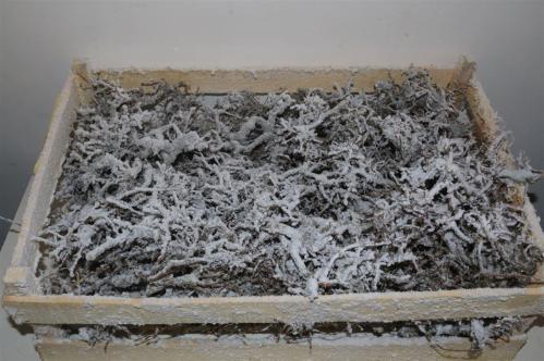 Huis en tuindecoratie overig H%