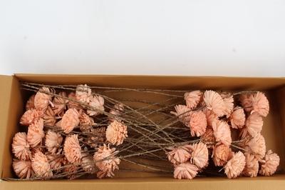 Huis en tuindecoratie overig H%