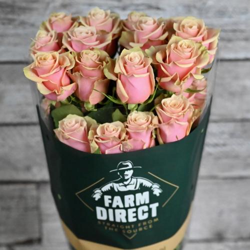 Rosa grootbloemig overig