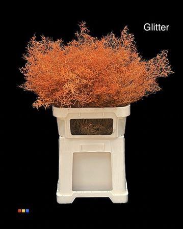 Limonium overig kleurbehandeld H%