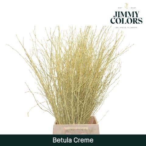Betula kleurbehandeld H%