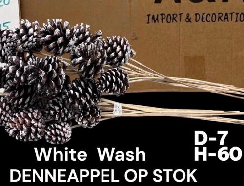Dennenappel op stok H%