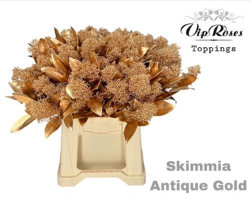 Skimmia per bos overig kleurbehandeld H%