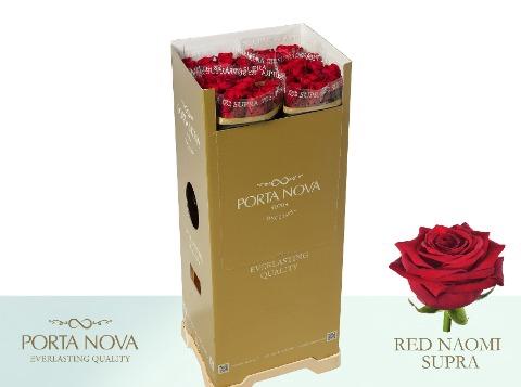 Rosa grootbloemig Red Naomi!