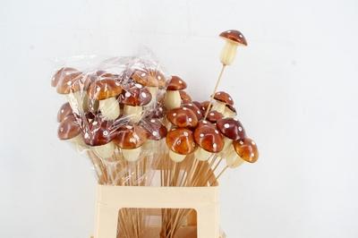 Huis en tuindecoratie overig H%