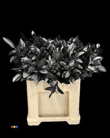Ruscus kleurbehandeld H%