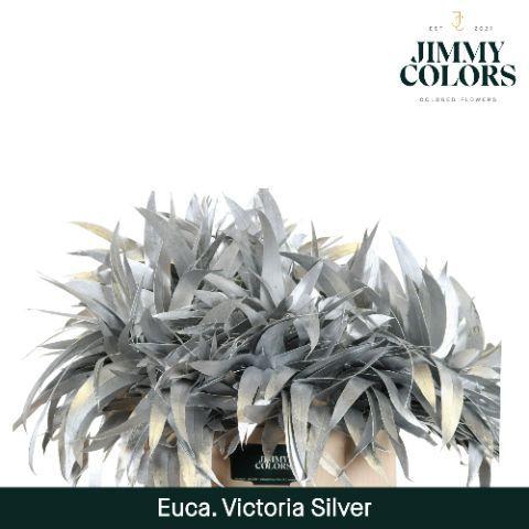 Eucalyptus globulus kleurbehandeld H%