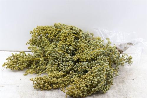 Dadels per kilo