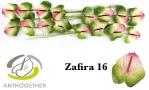 34e18b82-6ac9-4f05-aff0-e1bd7dcbbbc3.jpg