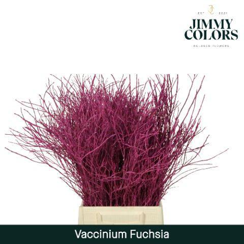 Vaccinium kleurbehandeld H%