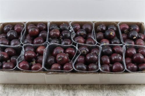 Siervruchten per stuk Punica granatum
