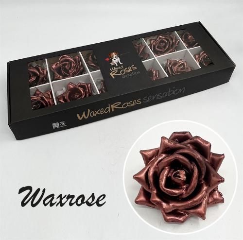 Rosa grootbloemig gewaxt H%
