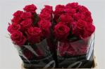 35ce4d37-7bb0-4a6a-ae47-418531549ccb.jpg