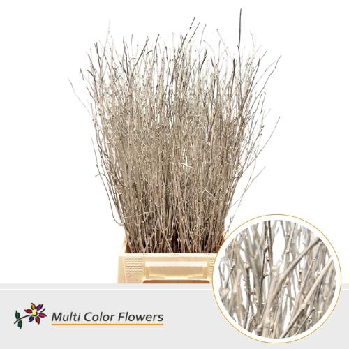 Betula kleurbehandeld H%